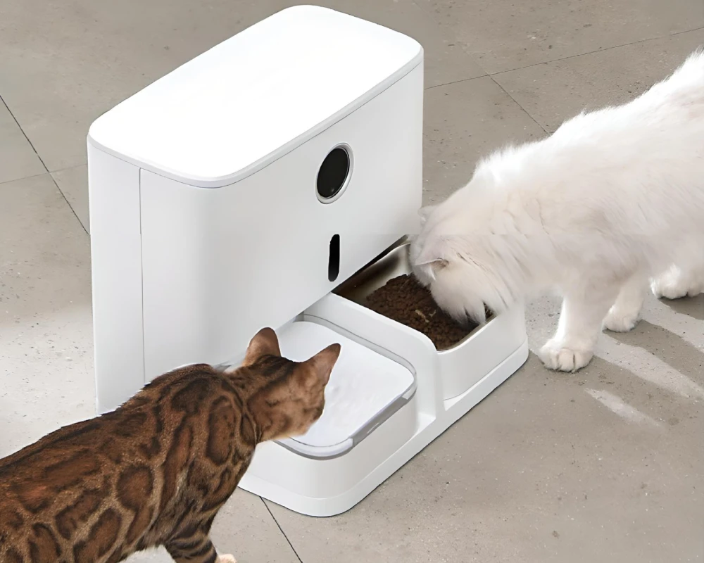 automatic pet feeder for two cats